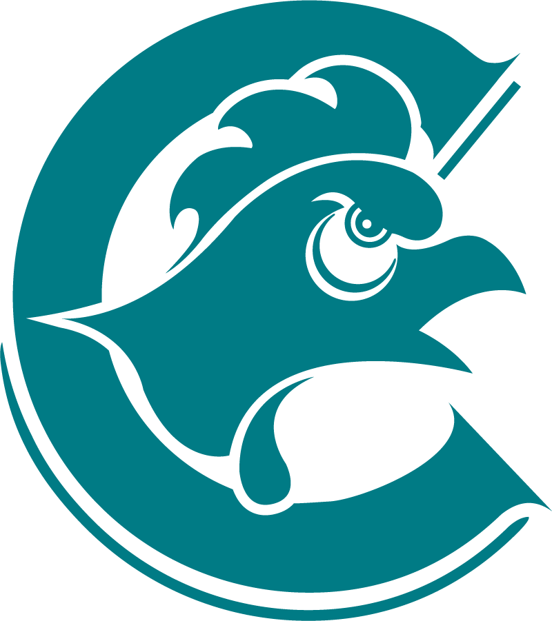 Coastal Carolina Chanticleers 1988-1995 Secondary Logo diy iron on heat transfer